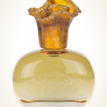 Syed Junaid Alam Amber