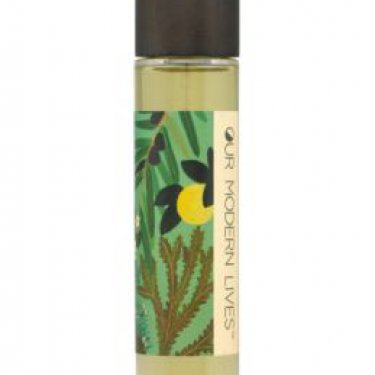 Our Modern Lives: Aquamarine