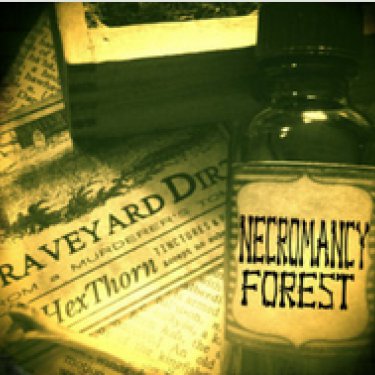 Necromancy Forest