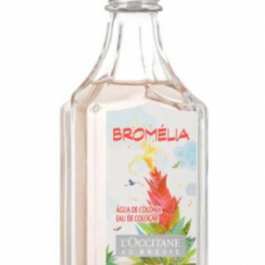 Bromélia
