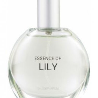 Essence of Lily