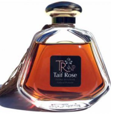 Taif Rose