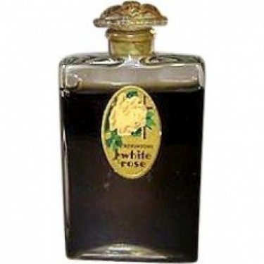 White Rose
