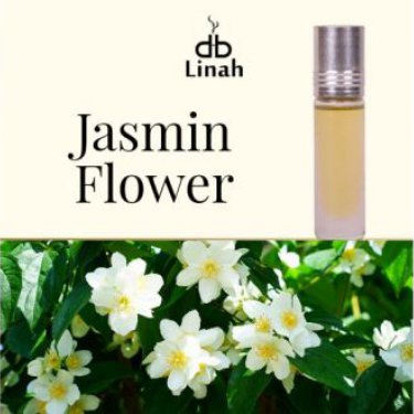 Jasmin Flower