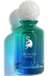 Atlantis Homme