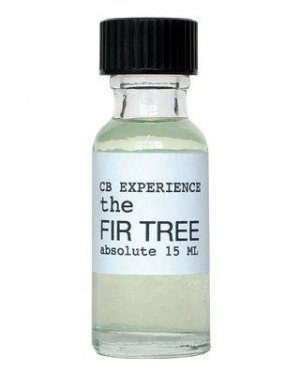 #304 The Fir Tree