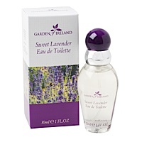 Garden of Ireland - Sweet Lavender