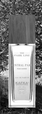 Central Park pour Homme