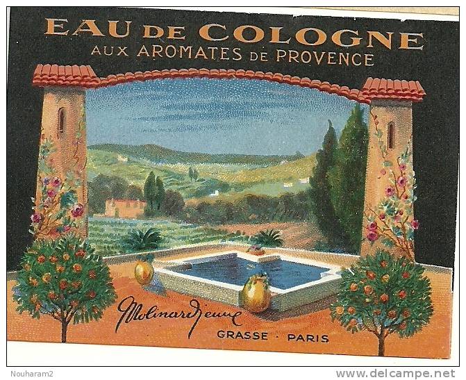 Aromates de Provence
