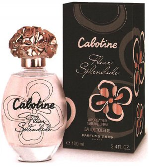 Cabotine Fleur Splendide