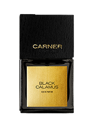 Black Calamus