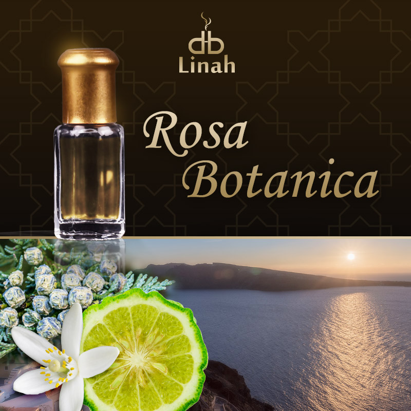 Rosa Botanica