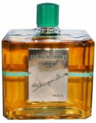 Spring n' Summer Cologne